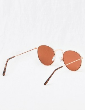 Aerie Bright Side Sunglasses Rose / Gold | 4568OIEBQ