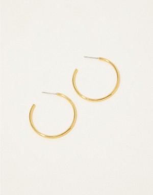 Aerie Demi Fine Large Hoop Jewelry Gold | 0173DBHRJ