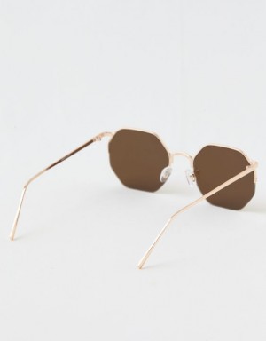 Aerie Movin' N Groovin' Sunglasses Brown | 8634DWBPS