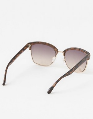 Aerie Squared Away Sunglasses Leopard | 8069CAEXT