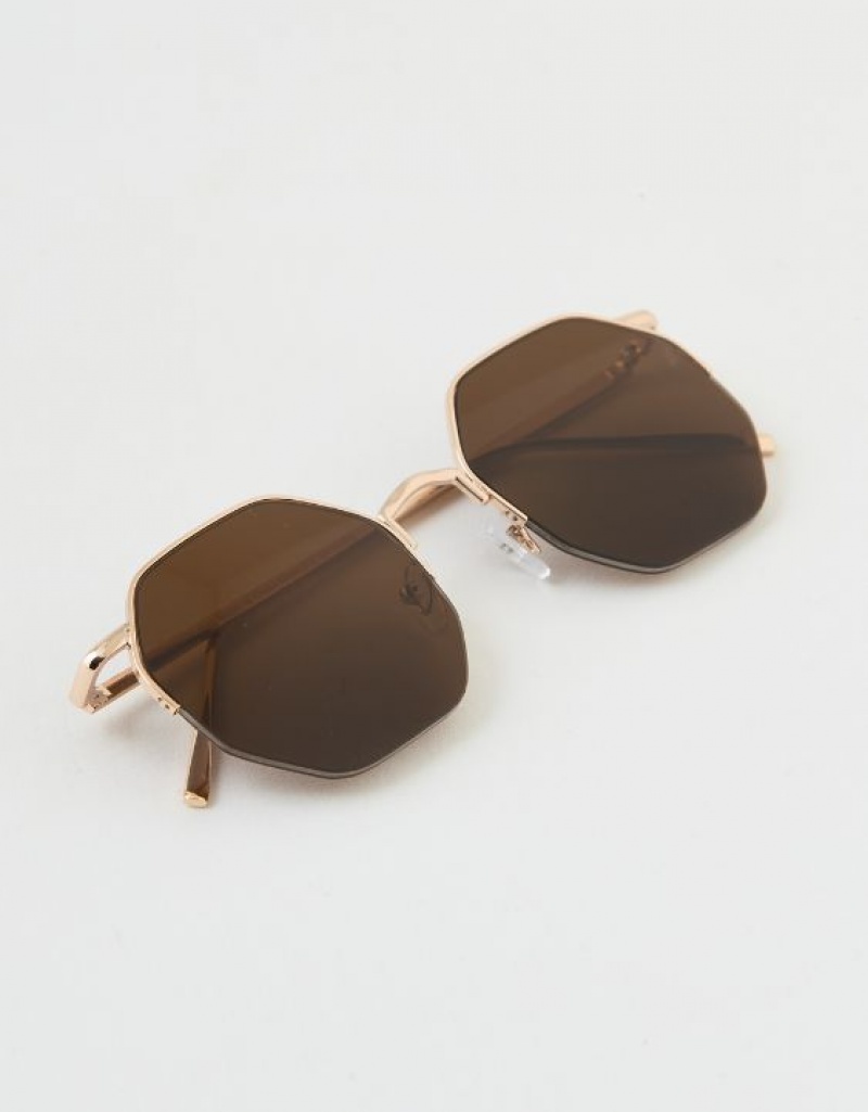 Aerie Movin' N Groovin' Sunglasses Brown | 8634DWBPS