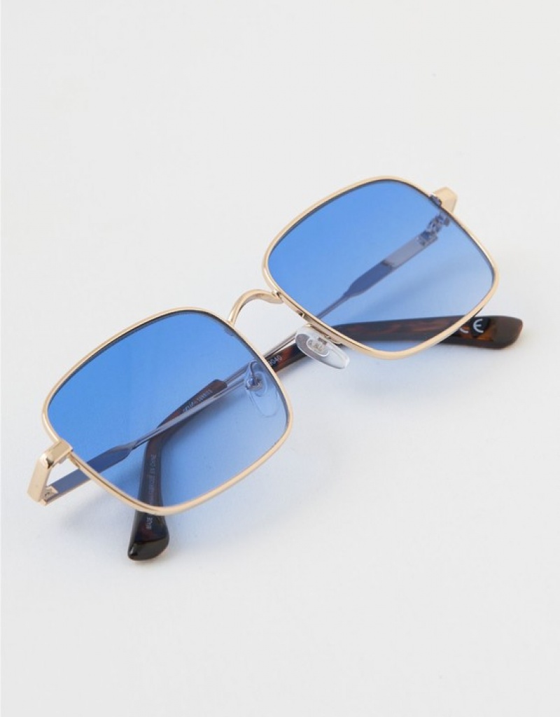 Aerie Seize the Day Sunglasses Blue | 6904VXLWZ