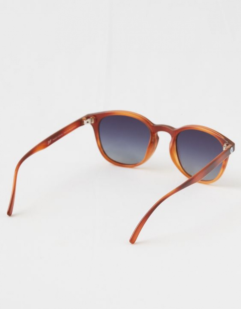 Aerie Sunski Yuba Caramel Ocean Sunglasses Leopard | 1403FIYXK