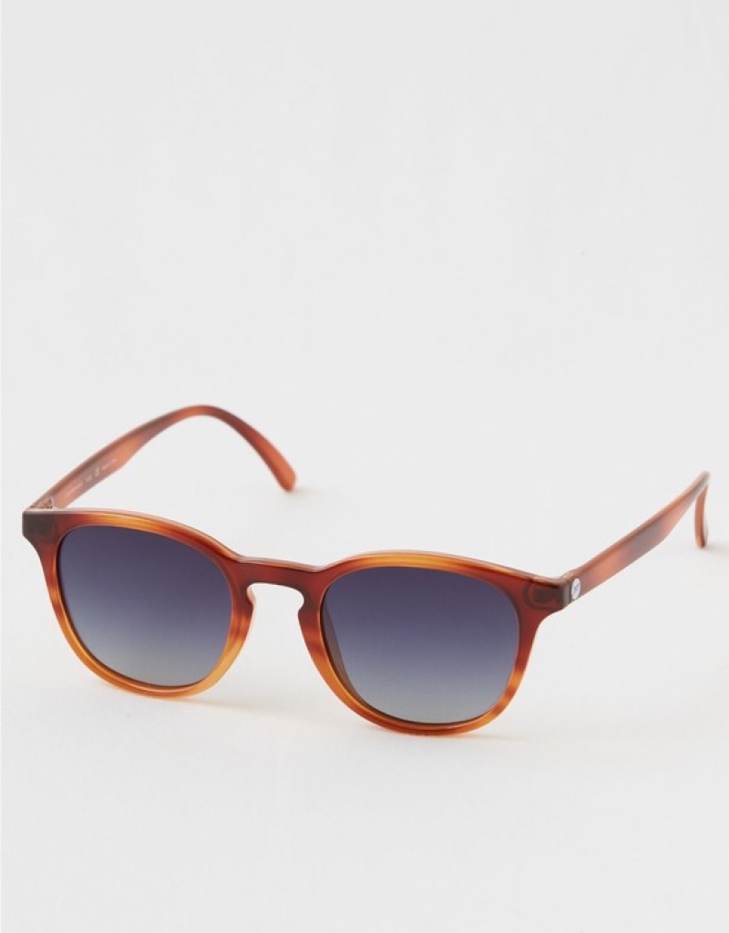 Aerie Sunski Yuba Caramel Ocean Sunglasses Leopard | 1403FIYXK