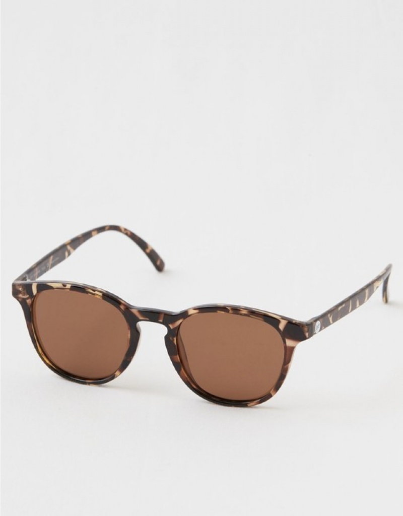 Aerie Sunski Yuba Tortoise Amber Sunglasses Brown | 0132QYHSU