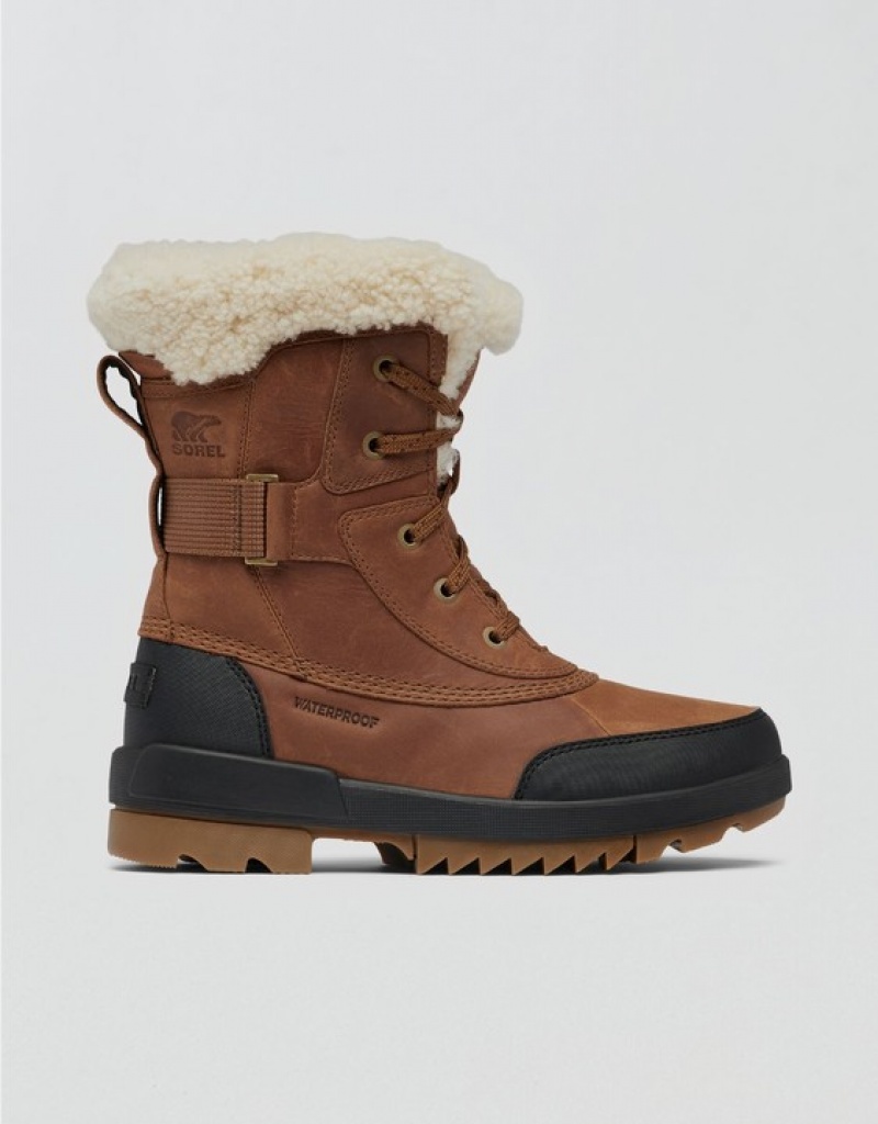 Aerie Tivoli™ IV Boots Brown | 2395NYKJH